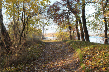 photo, road, nature, ukraine